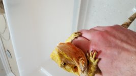 20170319_204351.jpg