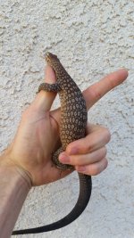 20170527_185714.jpg