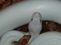 20170704_093715.jpg
