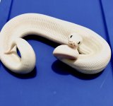 IMG_5817.jpg