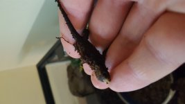 20161006_173906.jpg