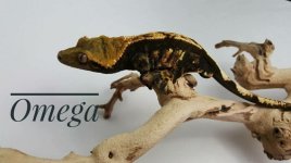 IMG_8814.jpg