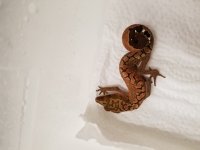 20170719_150403.jpg