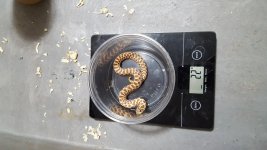 20170524_212330.jpg