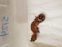 20170719_150358.jpg