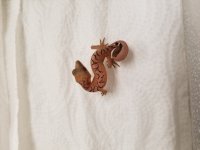 20170719_125910.jpg