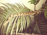 20170405_231814_Film4.jpg