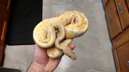 banana.jpg