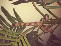 20170405_231910_Film4.jpg