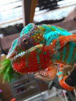 IMG_0685.jpg