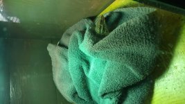 20170303_115908.jpg