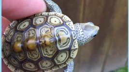 IMG_7233.jpg