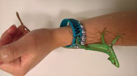 WP_20170809_17_56_05_Rich.jpg