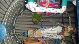 20170822_174348.jpg