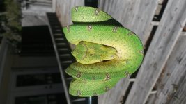 20170409_095205.jpg