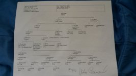 20170504_154050.jpg