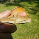 20170703_165937.jpg