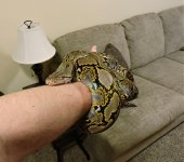 _20170509_102904.JPG