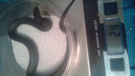 20170903_115433.jpg