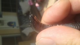 20170903_120005.jpg