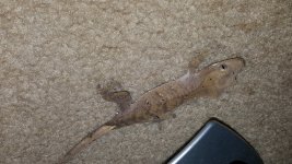20170810_190405.jpg