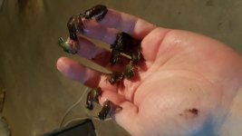 20170307_182749.jpg