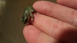 20170307_182717.jpg
