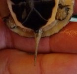 20170509_083024-1.jpg