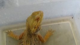 DSC01116.jpg