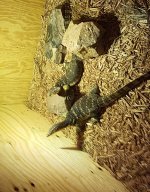 20170430_105500.jpg