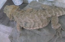 20170421_133803.jpg