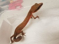 20170623_184447.jpg