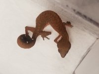 20170623_173715.jpg