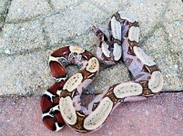 20170324_165758.jpg