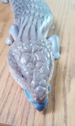 20170308_111735.jpg