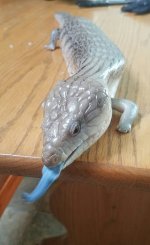 20170308_111646.jpg