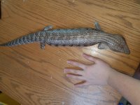 20170308_111448.jpg