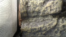 20170525_144604.jpg