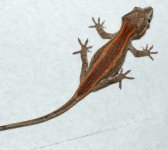 DSC_5359.jpg