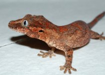 DSC_5349.jpg