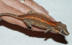 DSC_5355.jpg