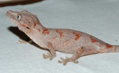 DSC_5316.jpg