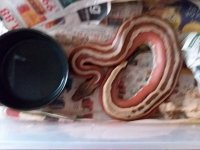20170915_095058.jpg