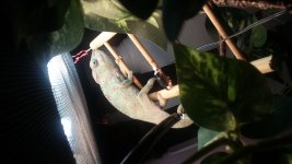 20170410_194308.jpg