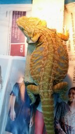 IMG_20170402_144159.jpg