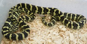 Female 1 Photo 2.jpg