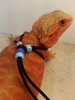 Blue.jpg