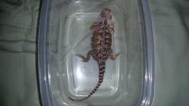 20170610_054435.jpg