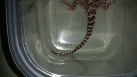20170610_054442.jpg