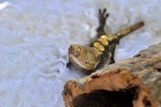 untitled_by_hhiraeth-dbnmed7.jpg